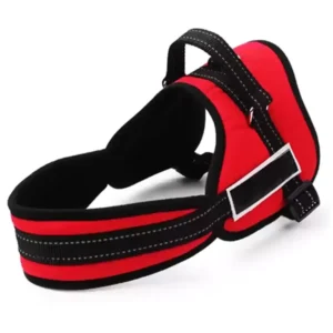 dog harness medium