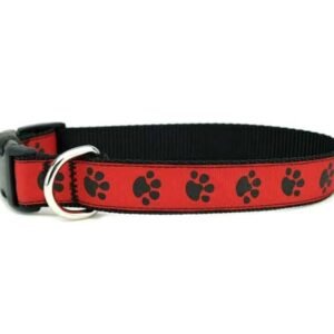 nylon dog collar 2.5 x 60cm