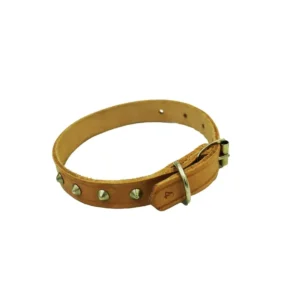 dog collar no.11 35mmx750mm