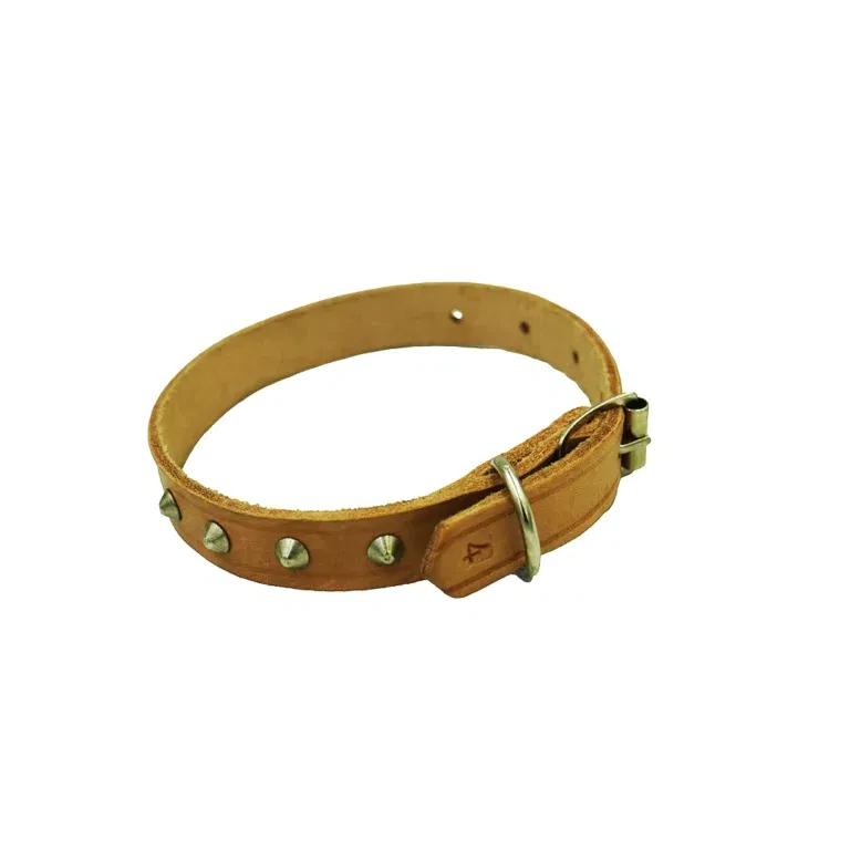 dog collar no.10 32mmx700mm dog collar no.10 32mmx700mm
