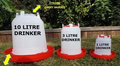 chicken drinkers chicken drinkers