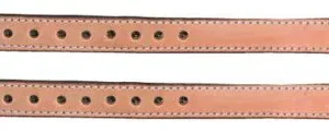 dog collar pitbull extra heavy duty 34mm x 81cm