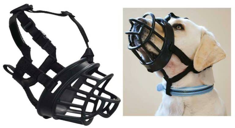 dog muzzle #4 hard plastic dog muzzle #4 hard plastic