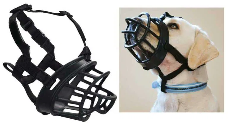 dog muzzle #2 hard plastic dog muzzle #2 hard plastic
