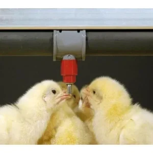 Home nipple drinkers for sale